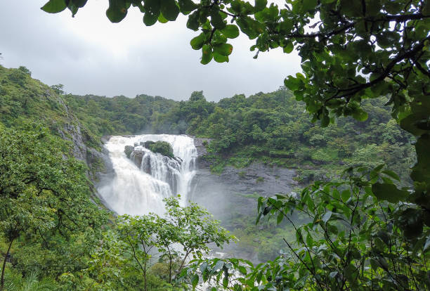 LTC Tour Packages India