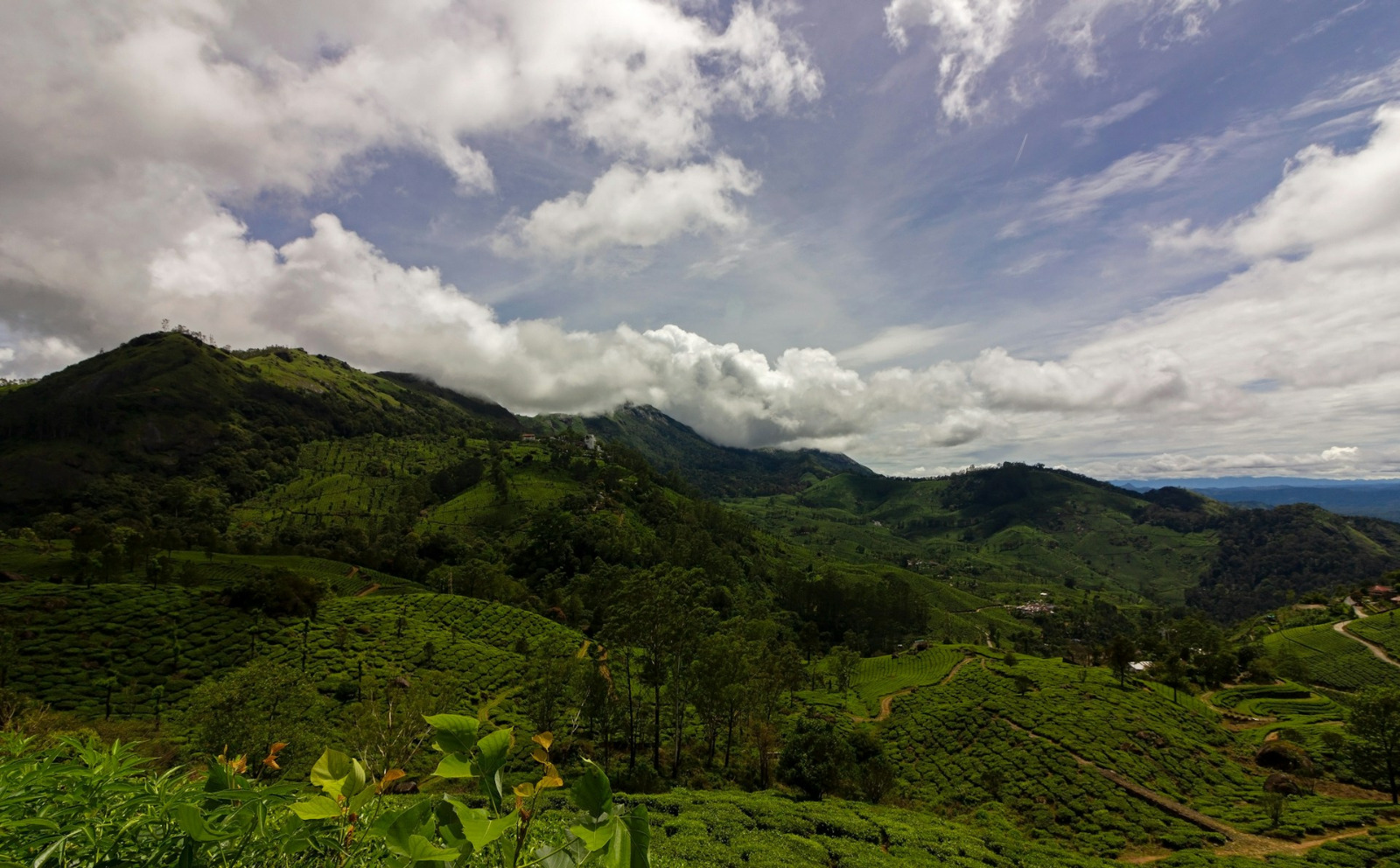 Ooty Destination