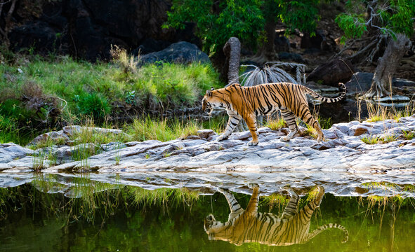Uttarakhand Tourism